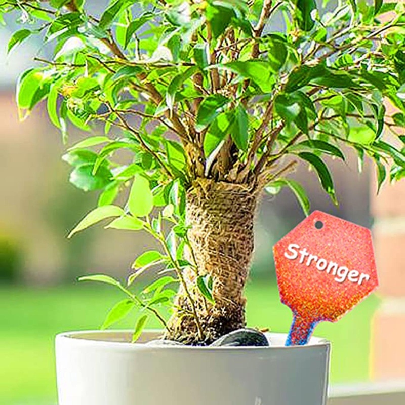 Khuôn Làm Nhãn Chậu Cây Nhiều Kiểu Dáng Dễ Thương