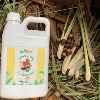 Nước lau sàn thiên nhiên từ enzym bồ hòn quế