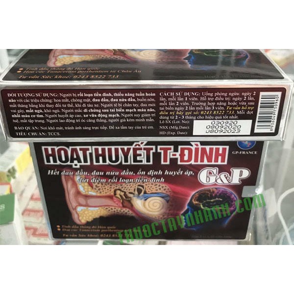 Hoạt huyết T- Đình GP -  Bổ huyết, hoạt huyết, ổn định huyết áp, tăng tuần hoàn máu não,chóng mặt