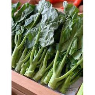hạt giống cải làn hoa trắng 10g