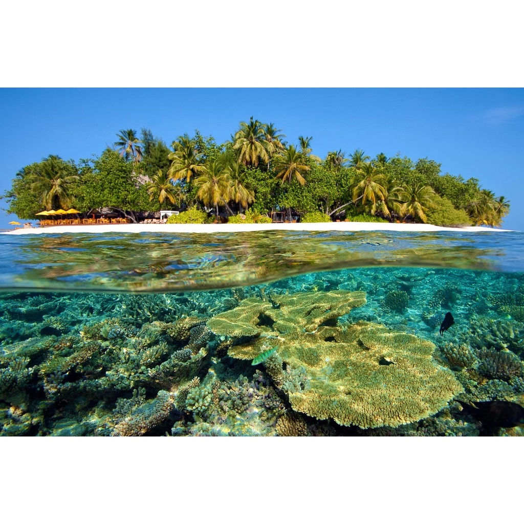 TOUR THÁI LAN - PHUKET - BANGKOK - XỨ CHÙA VÀNG