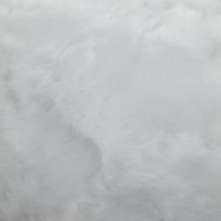 Thảm lông để chụp hình