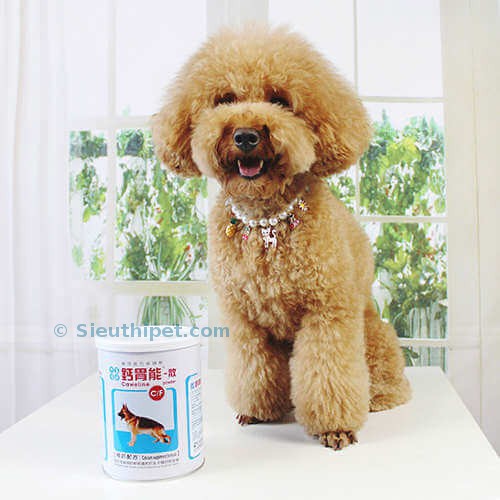 Canxi Tổng Hợp Tăng Trưởng Cho Thú Cưng Singen Caweline