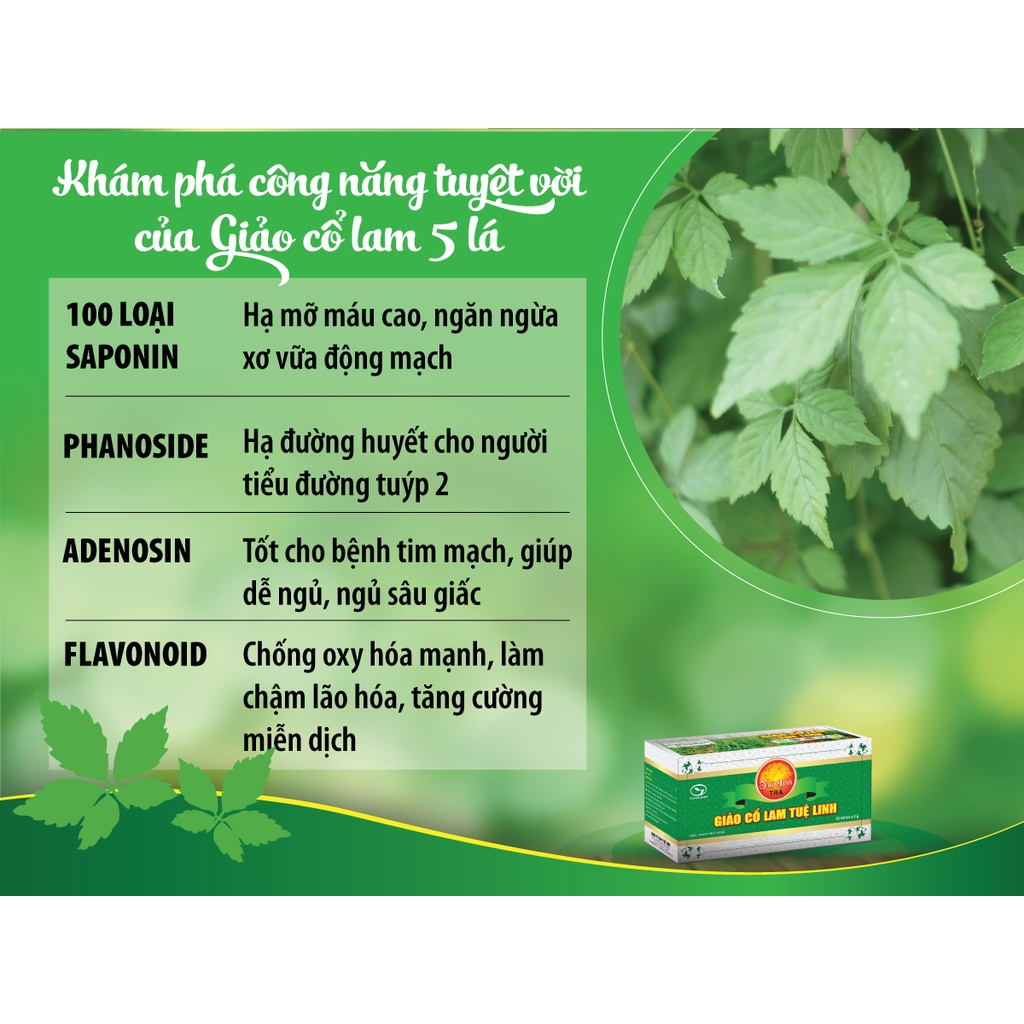 Trà Giảo Cổ Lam Tuệ Linh - Hỗ trợ Phòng ngừa Bệnh Tim Mạch, Tiểu Đường, Mỡ Máu - Gói 300g