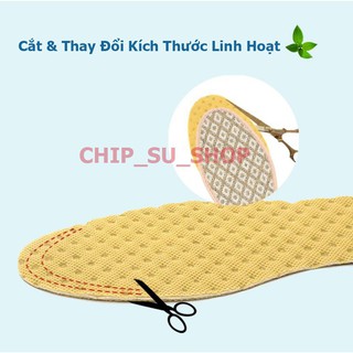 Lót Giày Bạc Hà Khử Mùi CX