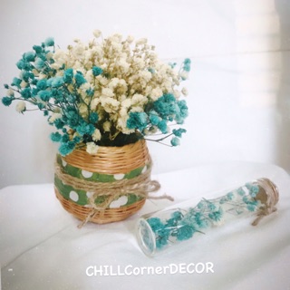 Chậu giỏ mây hoa baby phối xinh xắn phòng cách vintage