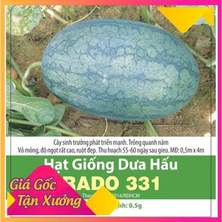 Hạt Giống Dưa Hấu Sai Trái