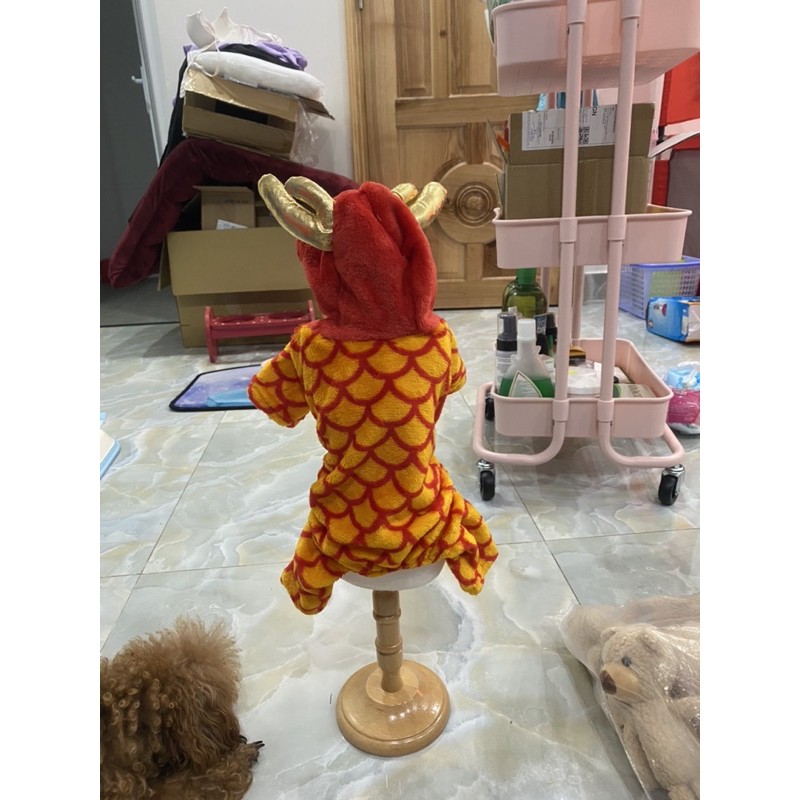 Bộ lân 4 chân cho thú cưng