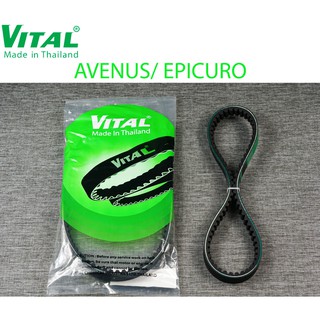 Dây curoa Avenus, Epicuro hiệu VITAL - Dây curoa VITAL chính hãng, hàng Thái Lan chất lượng cao