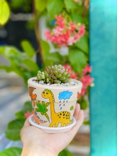 Chậu sen đá trung hình vẽ dễ thương