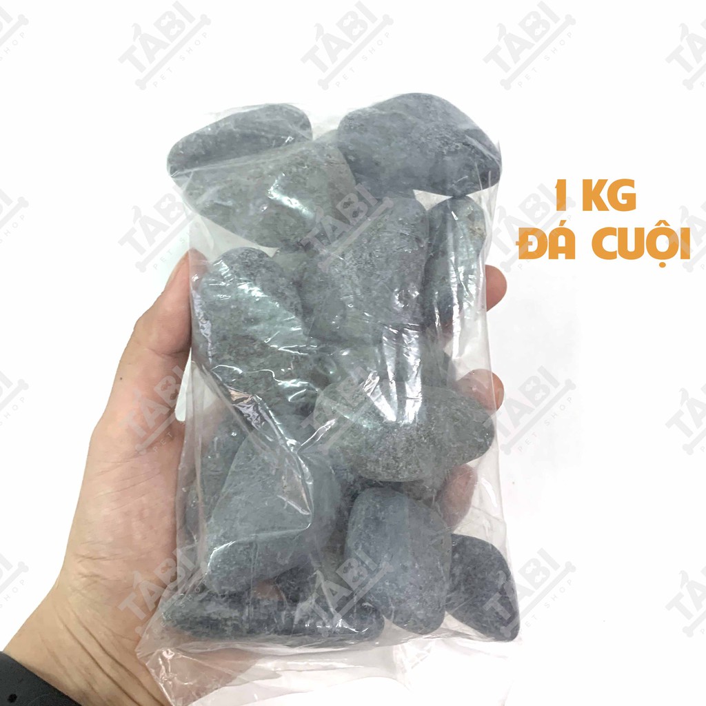 1KG Đá Cuội Trang Trí Sân Vườn, Hồ Cá Cảnh, Cây Cảnh. [ĐÁ CUỘI]