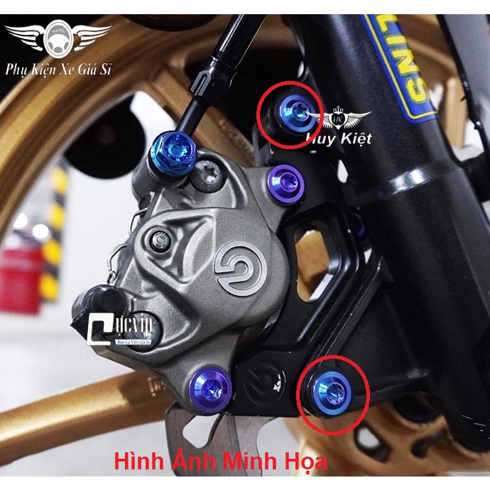 Ốc Titan GR5 8Li3 Đầu Salaya Gắn Pat Heo Dầu Trước SH Việt Nam, Kẹp Ty Phuộc Raider, Satria, Sonic MS5032
