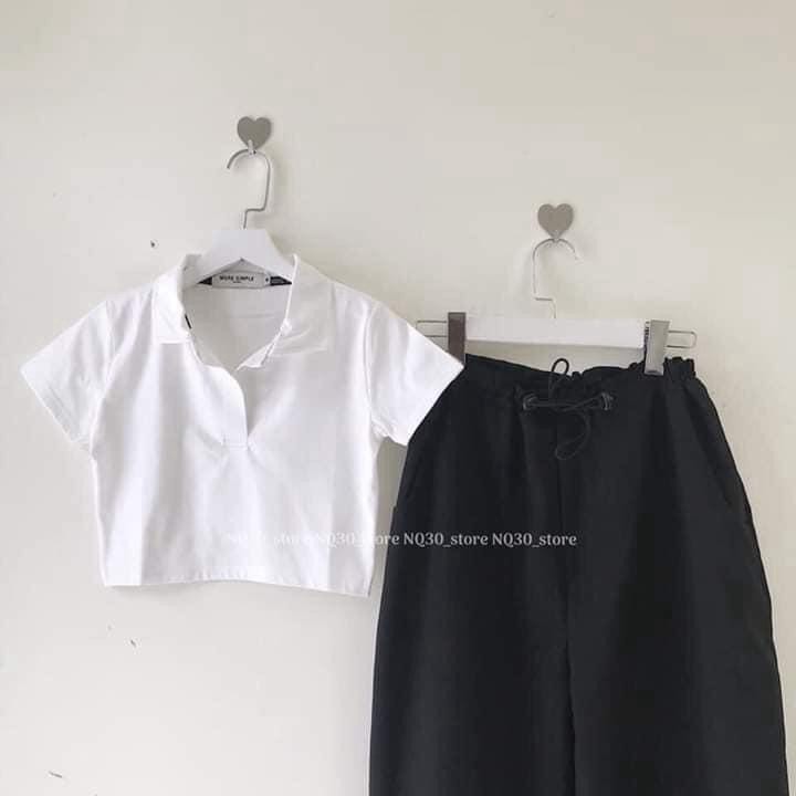 Áo croptop polo cổ trụ trơn nhiều màu hottrend 2020 | BigBuy360 - bigbuy360.vn