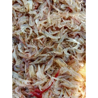 Tép biển tươi 500gr