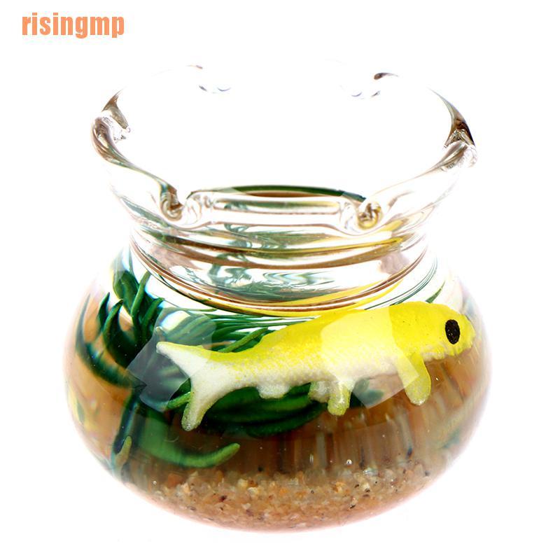 Mô Hình Trang Trí Bể Cá Thu Nhỏ &amp; X House