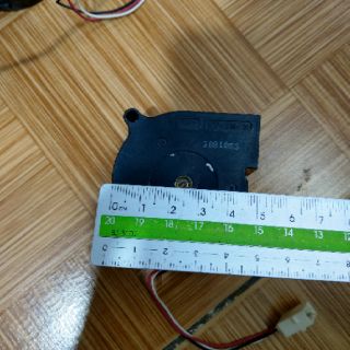 quạt con sò 5cm (4 cái)