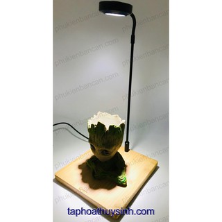 KỆ GỖ BAMBOO ĐÈN LED CHO BÁN CẠN