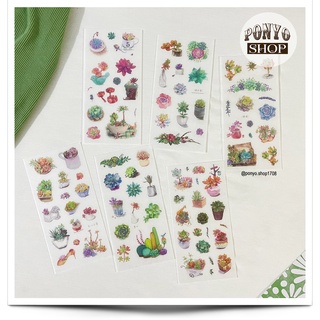 🌵 Bộ 6 sticker xương rồng Cactus