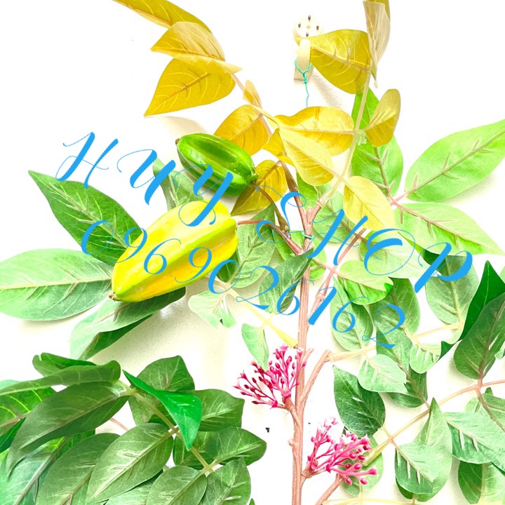 Cành Trái KHẾ nhân tạo trang trí nhà cửa