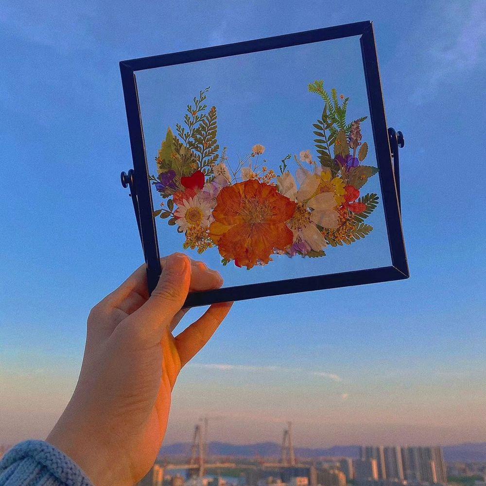 Bộ Khung Ảnh Bằng Kính Kèm Kẹp Để Bàn Trang Trí Nhà Cửa DIY