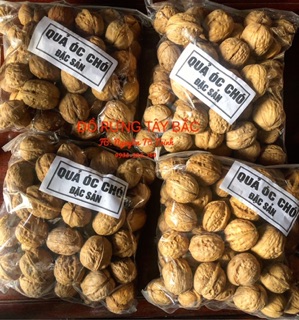 ÓC CHÓ TÂY BẮC