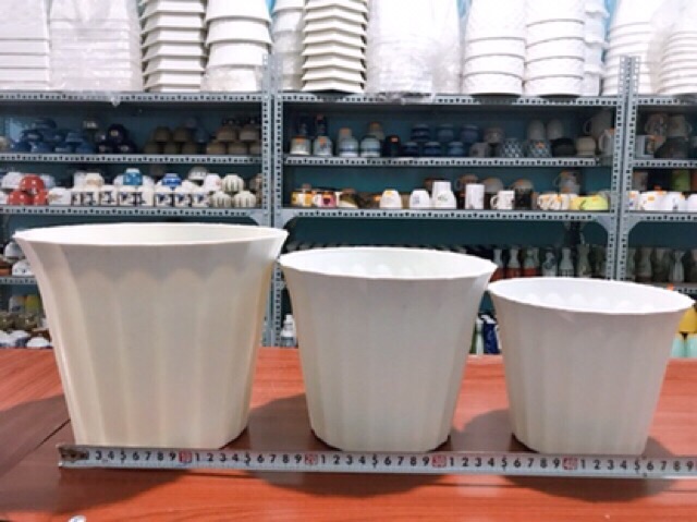 Chậu Nhựa Trồng Hoa Trang Trí Bàn Làm Việc, Chậu Rất Dày Loại Cao Cấp