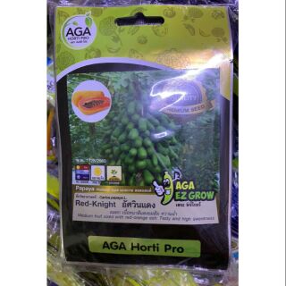 HẠT GIỐNG ĐU ĐỦ HÀ LAN SIÊU QUẢ