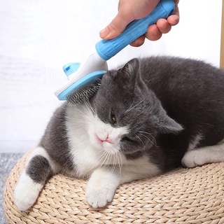 LƯỢC CHẢI LÔNG CHÓ MÈO