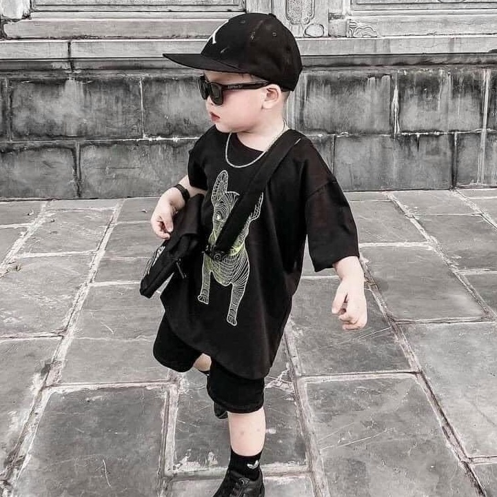 BOT15 - BỘ + MŨ + TÚI + KHẨU TRANG - Bộ Bé Trai, Bộ cộc tay cotton in hình chó, 8-21kg, Richkid123