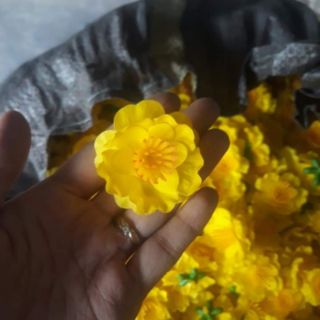 Com bo 1 lạng hoa đào