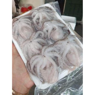 BẠCH TUỘC SỮA TƯƠI size 10 - 20 đã làm sạch