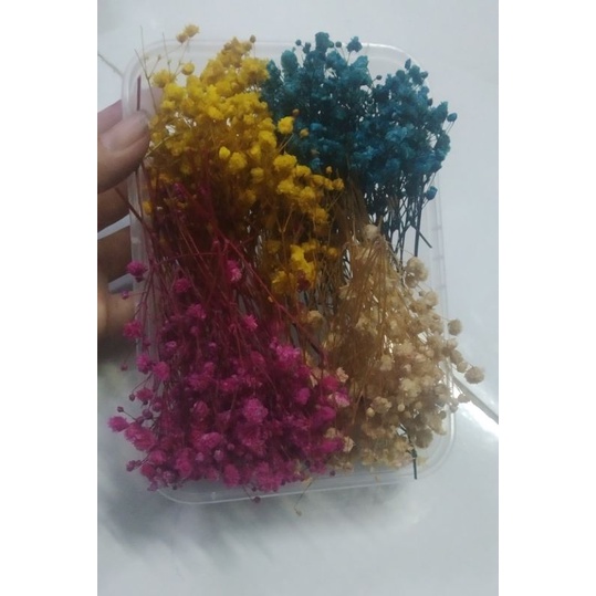 hoa  bi cài tóc xinh /30k/ 1hộp