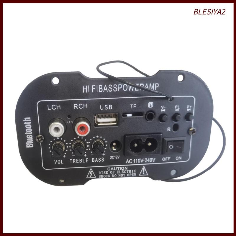 Bảng Mạch Khuếch Đại Tín Hiệu Radio TF / USB Blesiya2