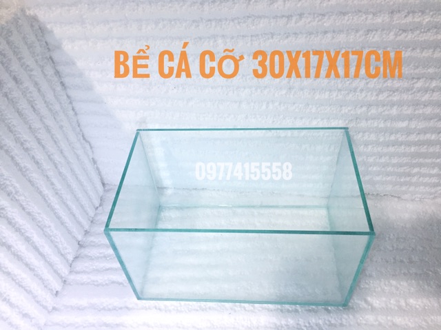 Bể cá 30*17*17cm - bể mini để bàn