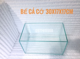 Bể cá 30*17*17cm - bể mini để bàn