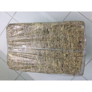 Dớn Chi Lê gói 100gr hoặc 500GR