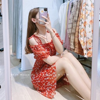 ĐẦM HOA NHÍ RỚT VAI