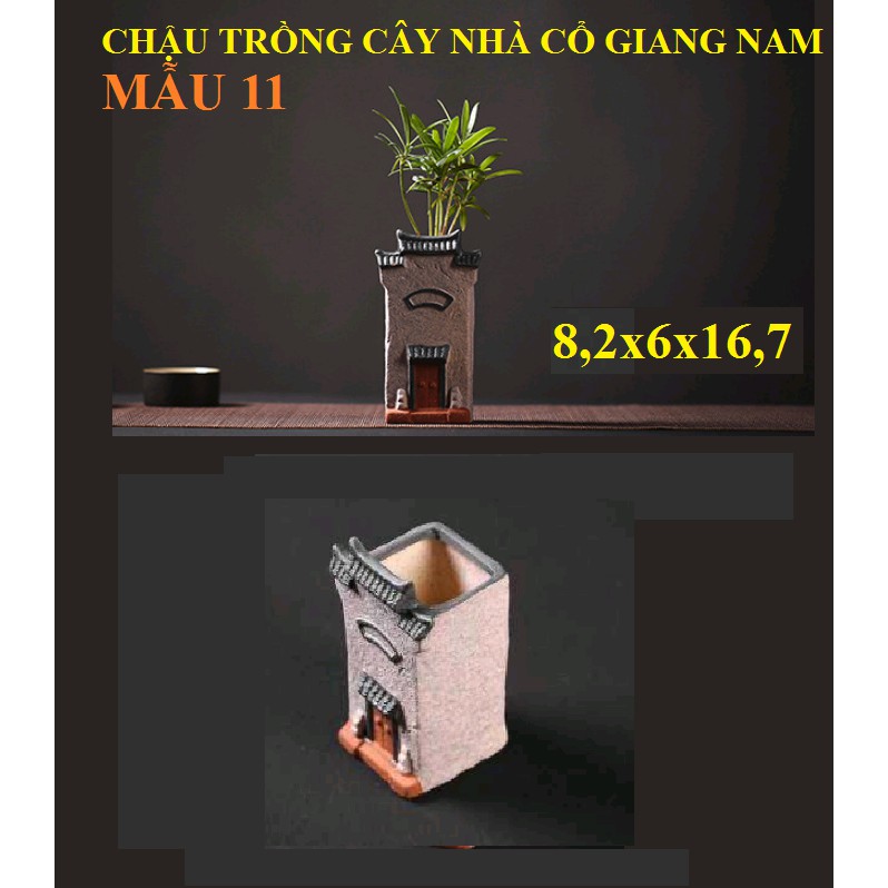 CHẬU TRỒNG CÂY NHÀ CỔ GIANG NAM - SET HỒ THỦY SINH - BÁN CẠN - TIỂU CẢNH