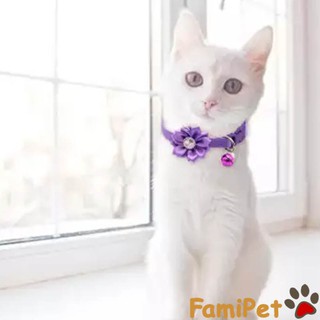 Vòng cổ hoa cho chó mèo