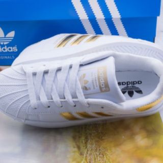 Giày Adidas Superstar Mũi Sò