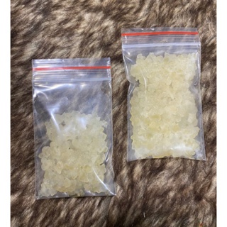 Nấm nước Kefir dừa (35 gr )SIÊU MẠNH .siêu sinh sôi