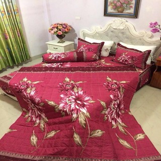 CHĂN CHẦN BÔNG COTTON POLY CHỌN MẪU