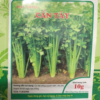 Hạt giống Cần Tây 10gr
