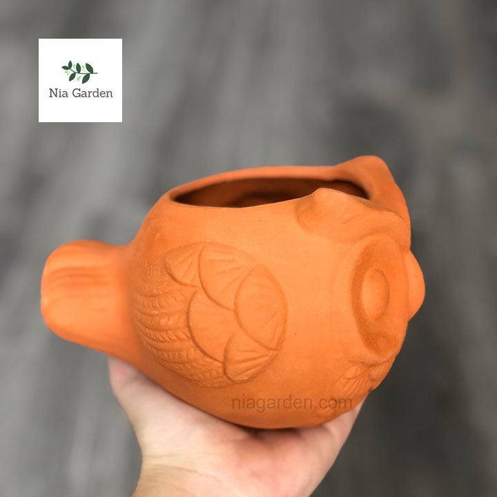Chậu cú mèo đất nung trồng sen đá xương rồng mini cú banh tròn Nia Garden N4
