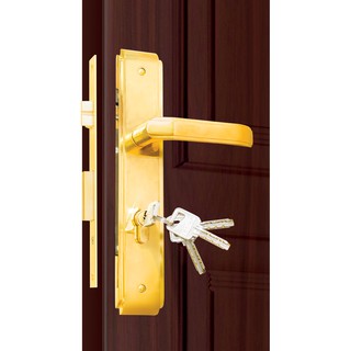 [Chính hãng] Khóa tay gạt việt tiệp 4925 dùng cho cửa chính