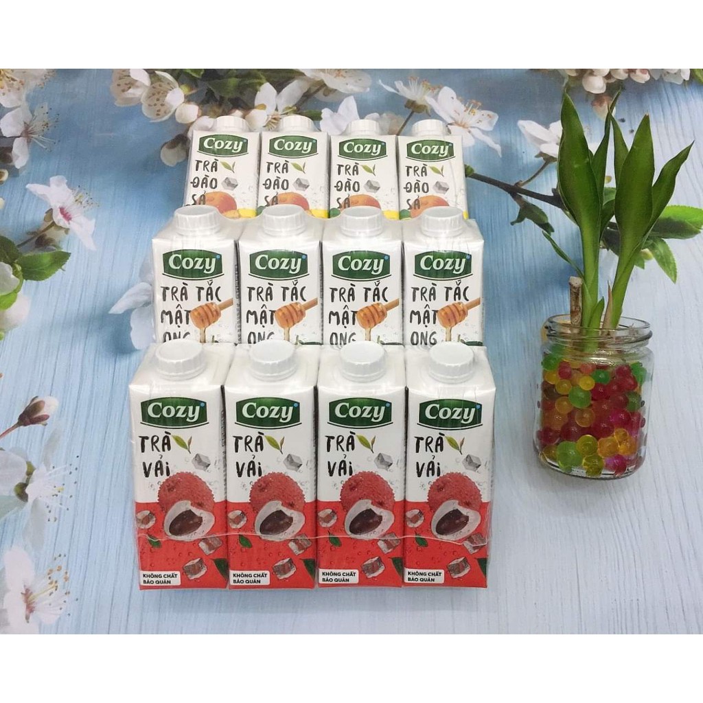Trà Cozy lốc 4 hộp