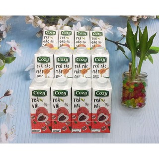 Trà Cozy lốc 4 hộp