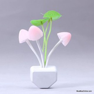 ĐÈN NGỦ CẢM ỨNG ĐỔI MÀU AVATAR