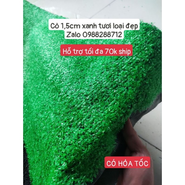 Thảm cỏ nhân tạo 1.5cm loại đẹp