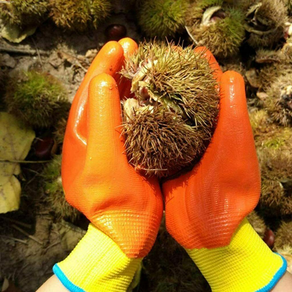 Đôi Găng Tay Làm Vườn Cho Trẻ Em Từ 4-13 Tuổi Mềm Mại Thoải Mái